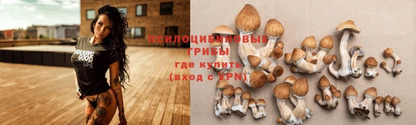гашиш Калининец
