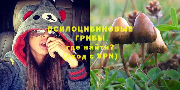 альфа пвп Медвежьегорск